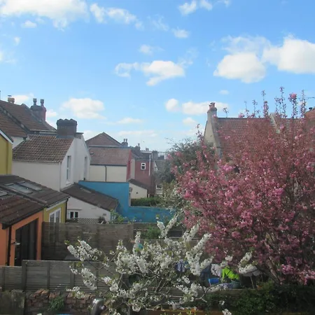 Cosy Comfy * Bristol